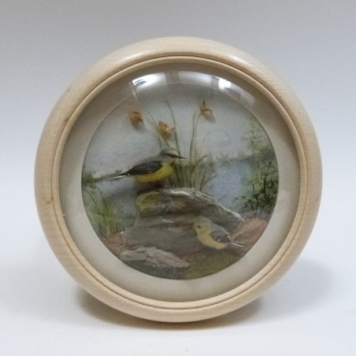 Grey Wagtail and Young (Version 2) (5-inch)